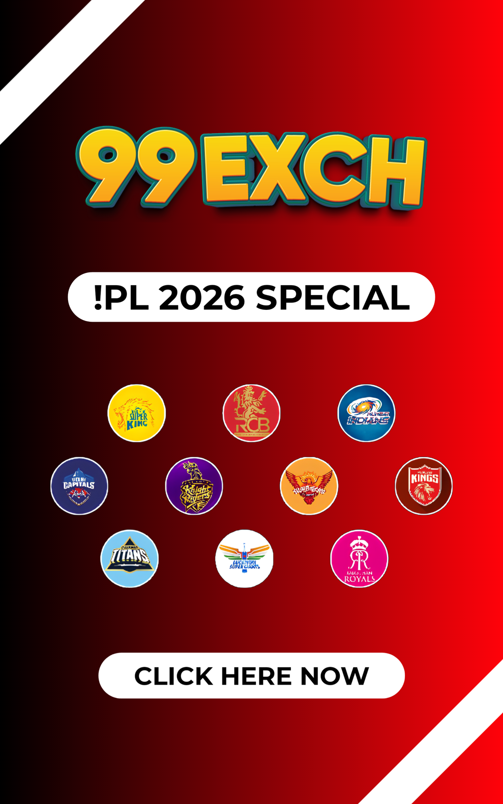 BSS Security Solutions